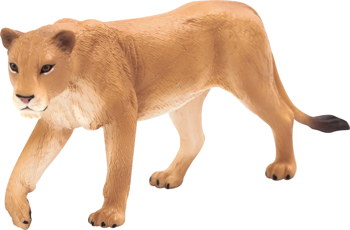 Mojo Lioness - image 1