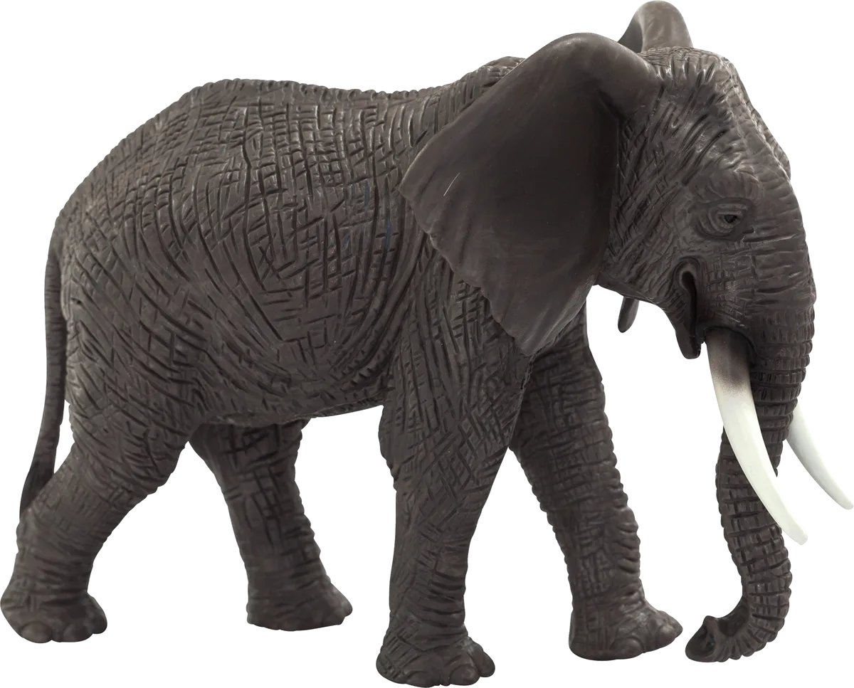 Mojo African Elephant - image 1