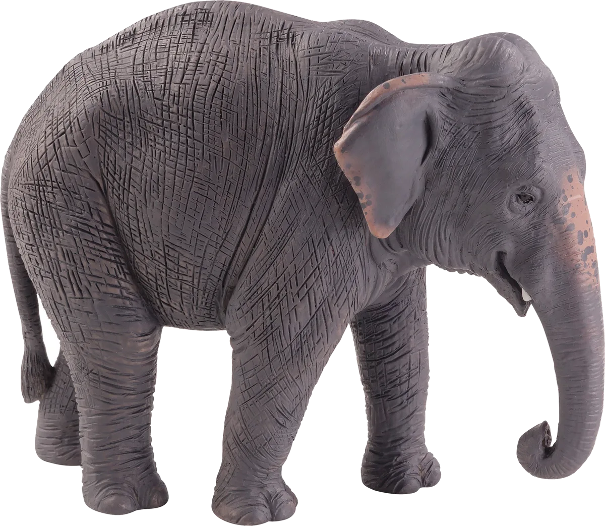 Mojo Asian Elephant - image 1
