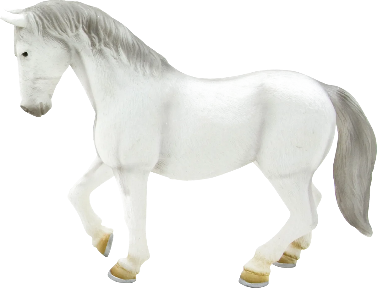 Mojo Lipizzaner Mare Horse - image 1