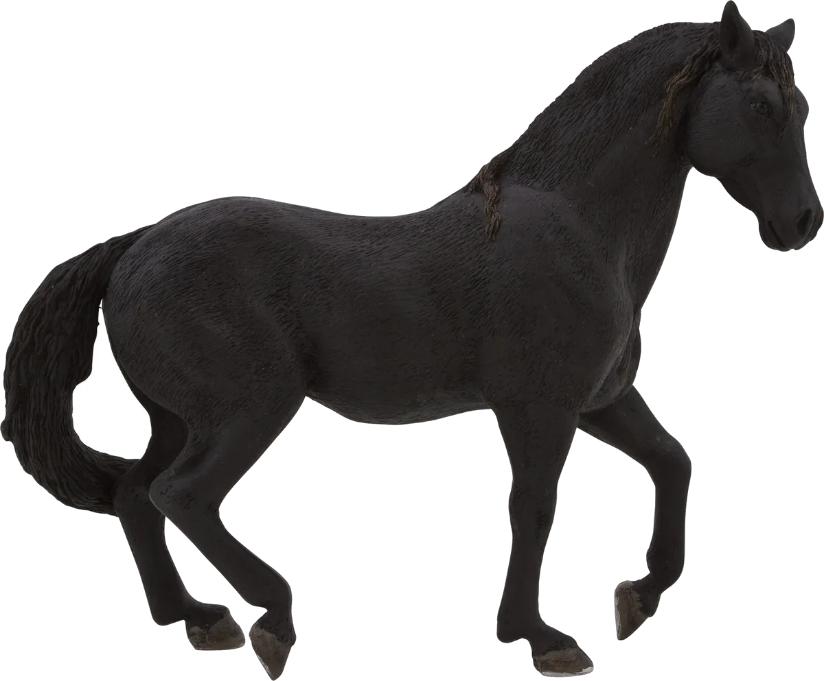 Mojo American Stallion, Black - image 1