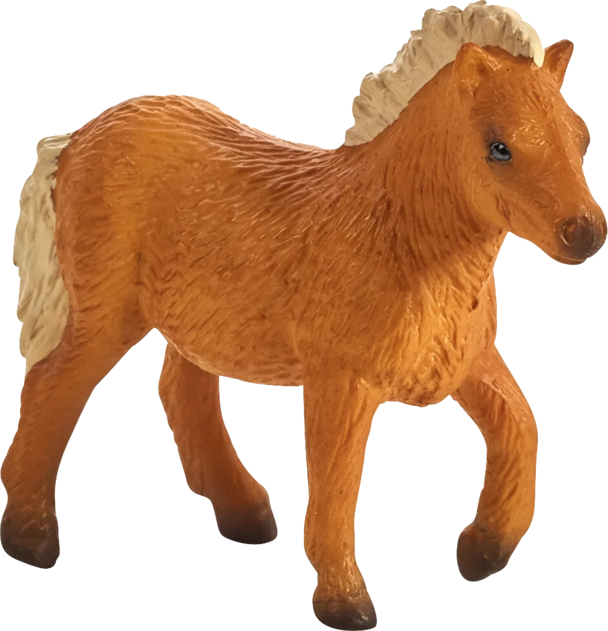 Mojo Shetland Pony Foal - image 1