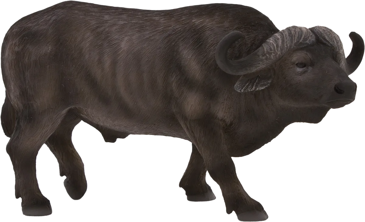Mojo Cape Buffalo - image 1