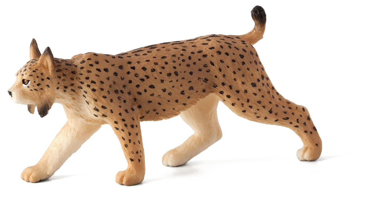 Mojo Iberian Lynx - image 1