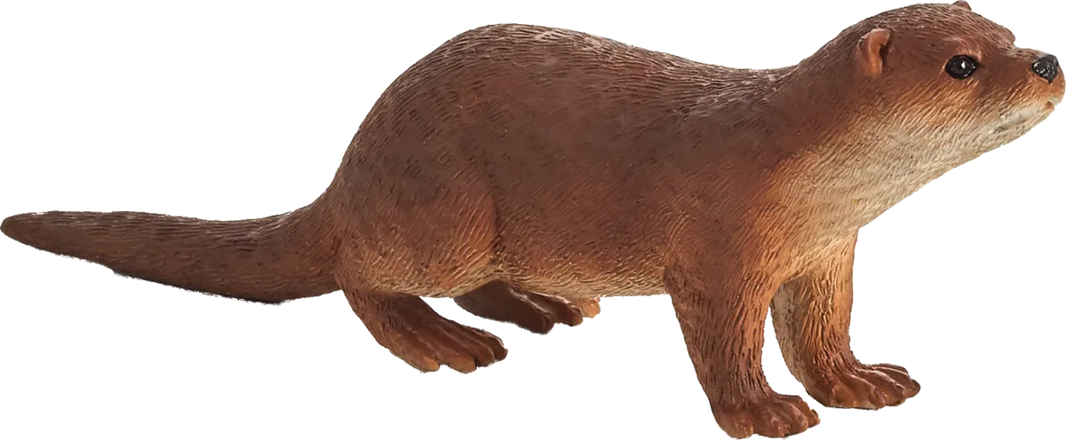 Mojo Otter - image 1