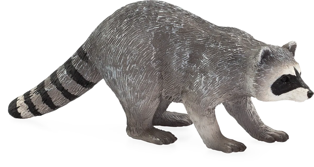 Mojo Raccoon - image 1