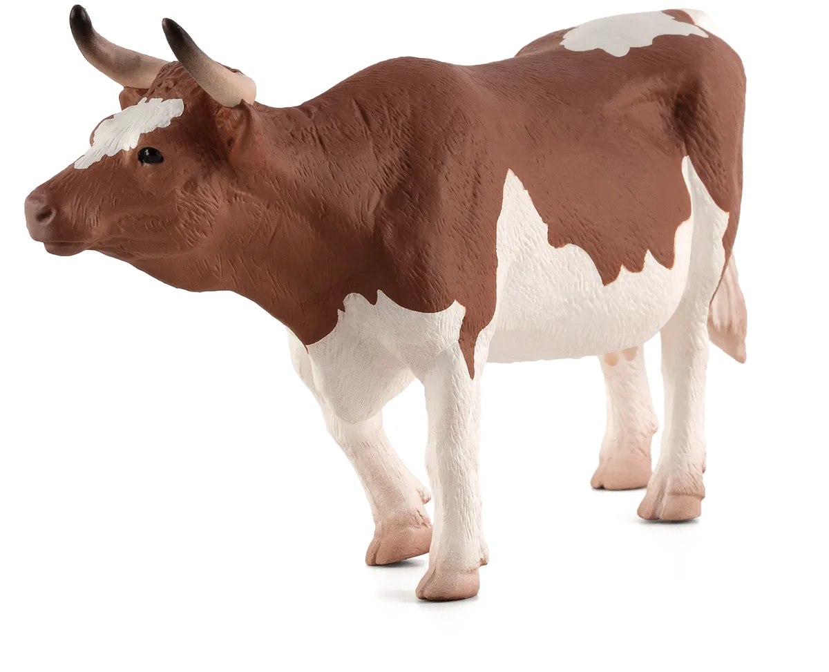 Mojo Simmental Cow - image 1
