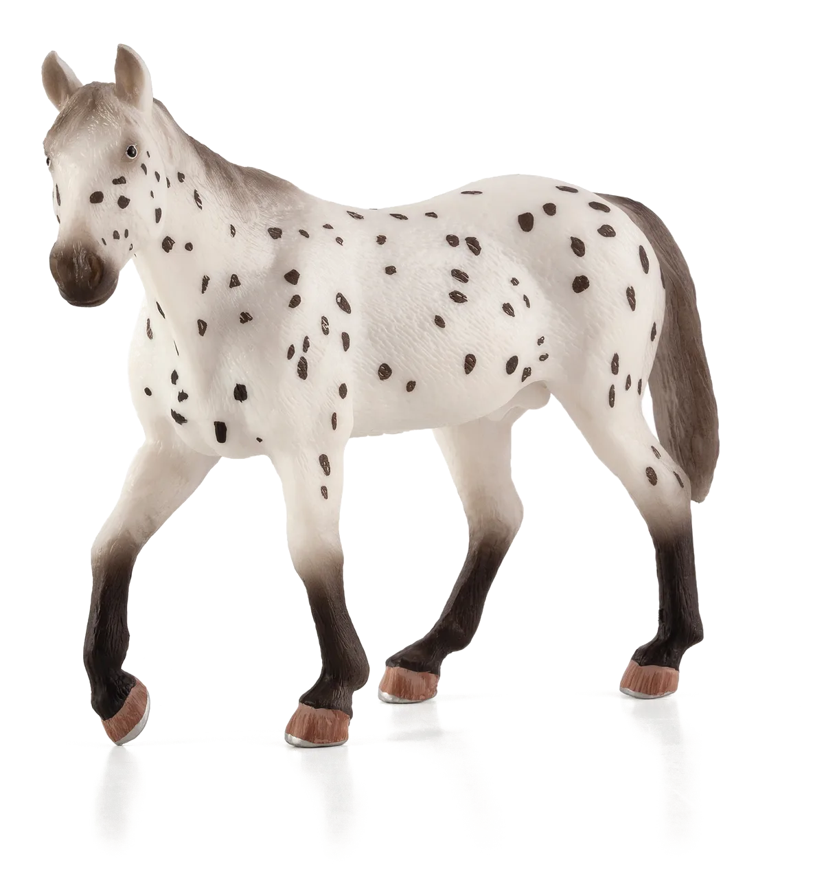Mojo Appaloosa Stallion - image 1