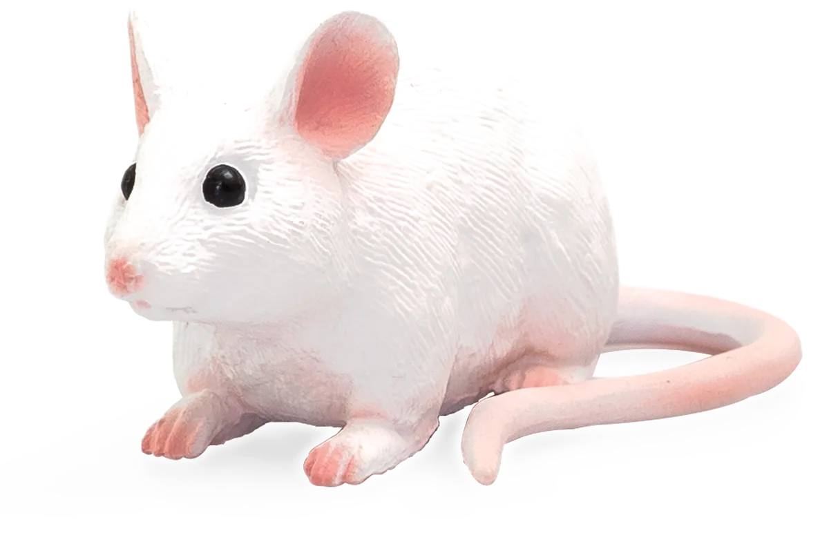 Mojo Mouse - image 1