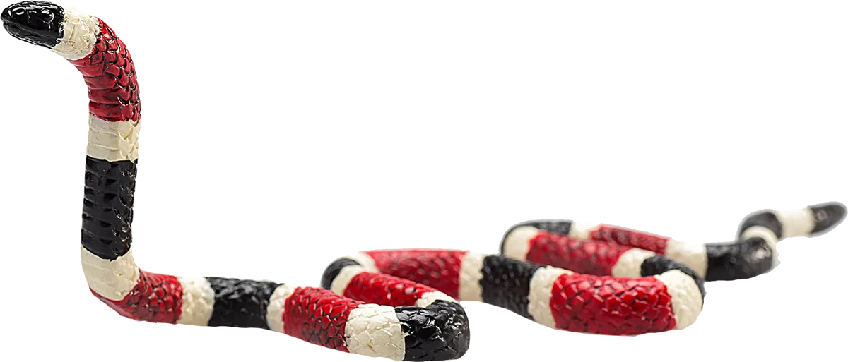 Mojo Coral Snake - image 1