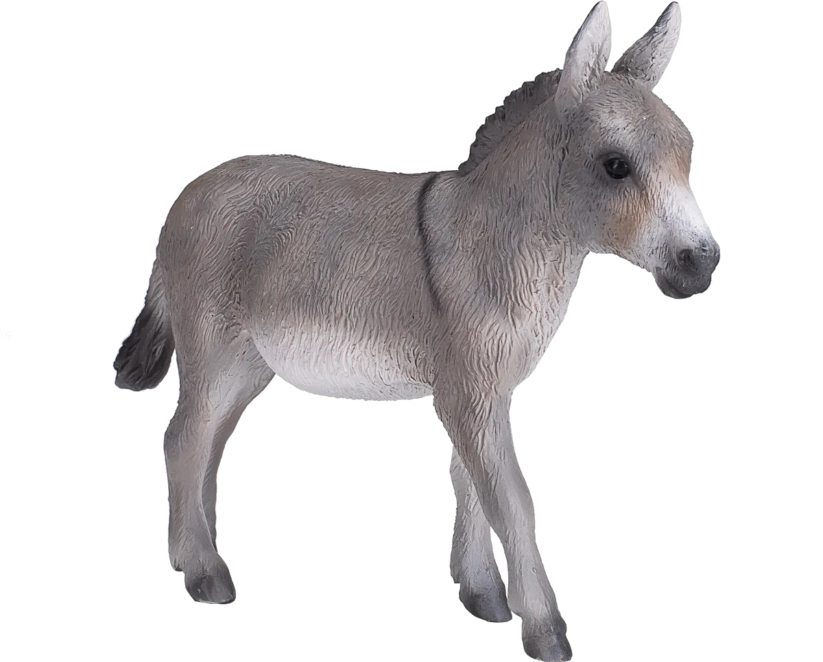 Mojo Donkey - image 1