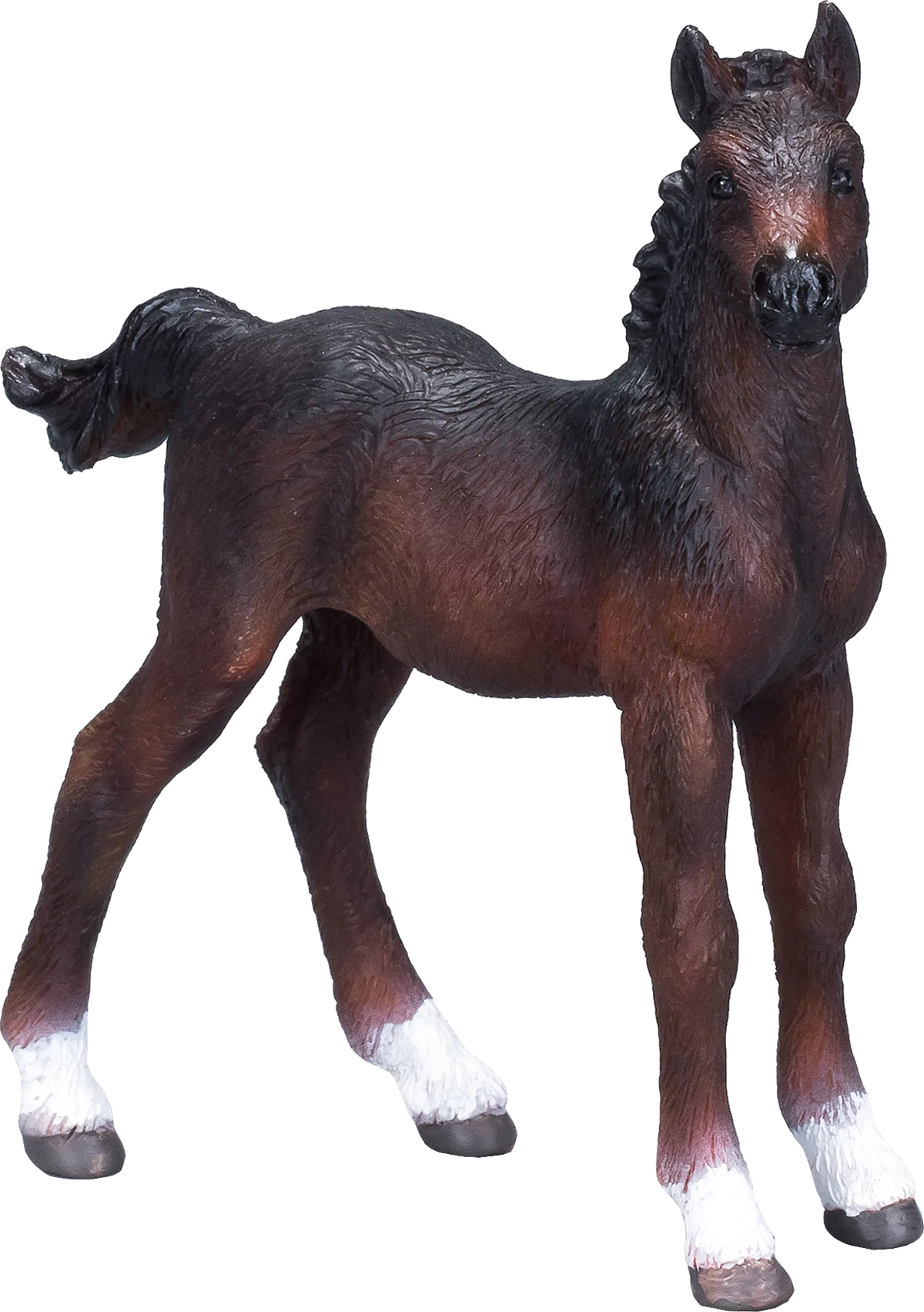 Mojo Hanoverian Foal, Brown - image 1