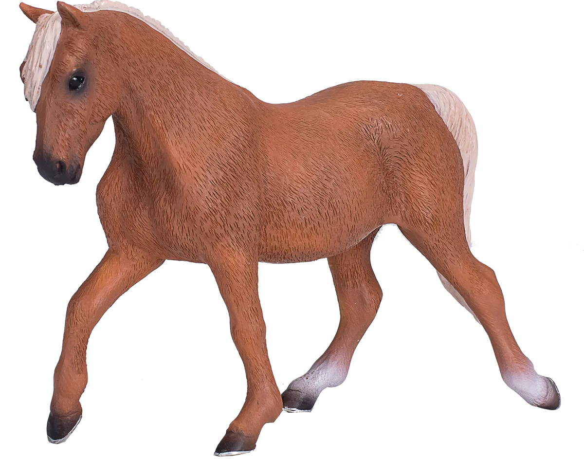 Mojo Palomino Morgan Stallion - image 1