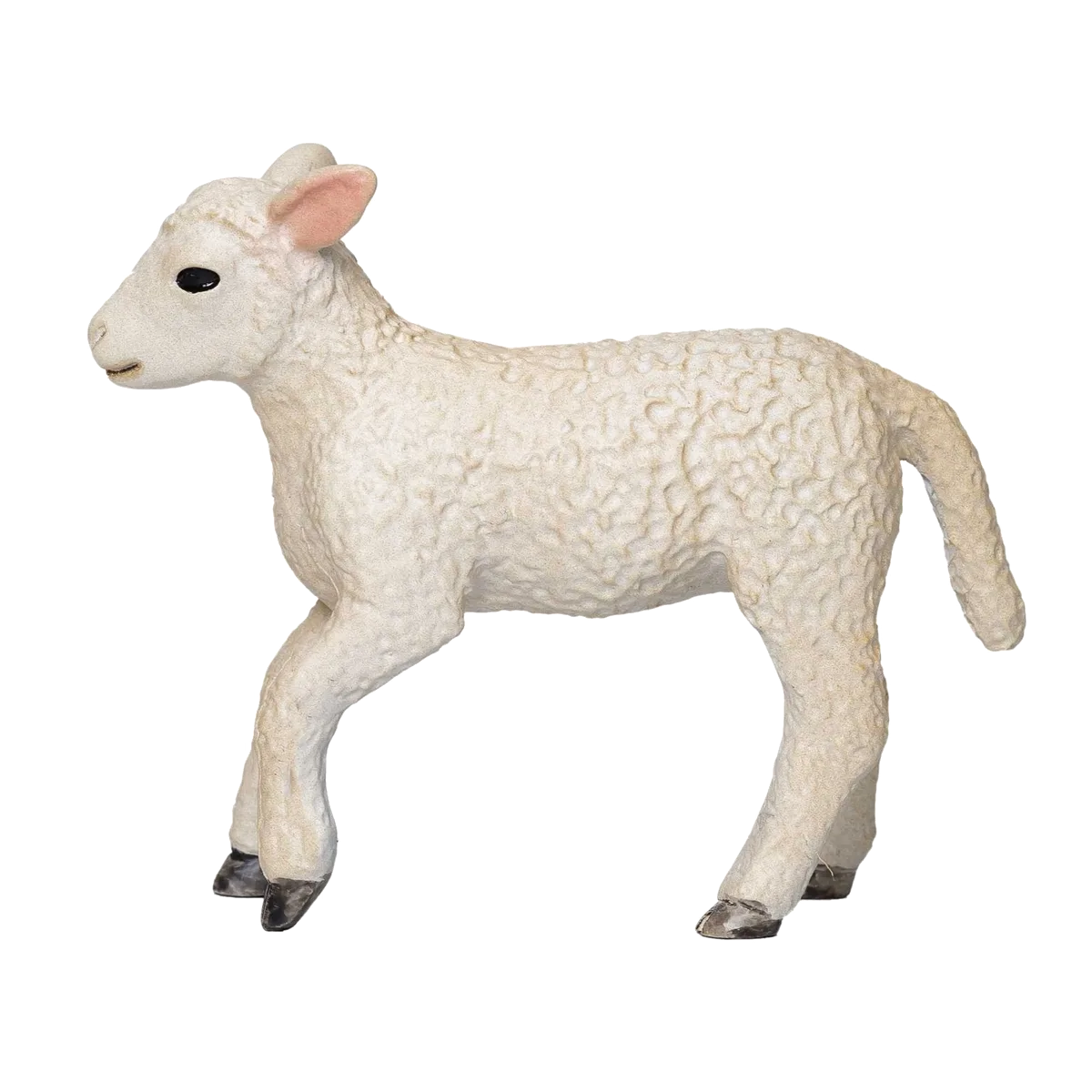 Mojo Romney Sheep lamb, running - image 1