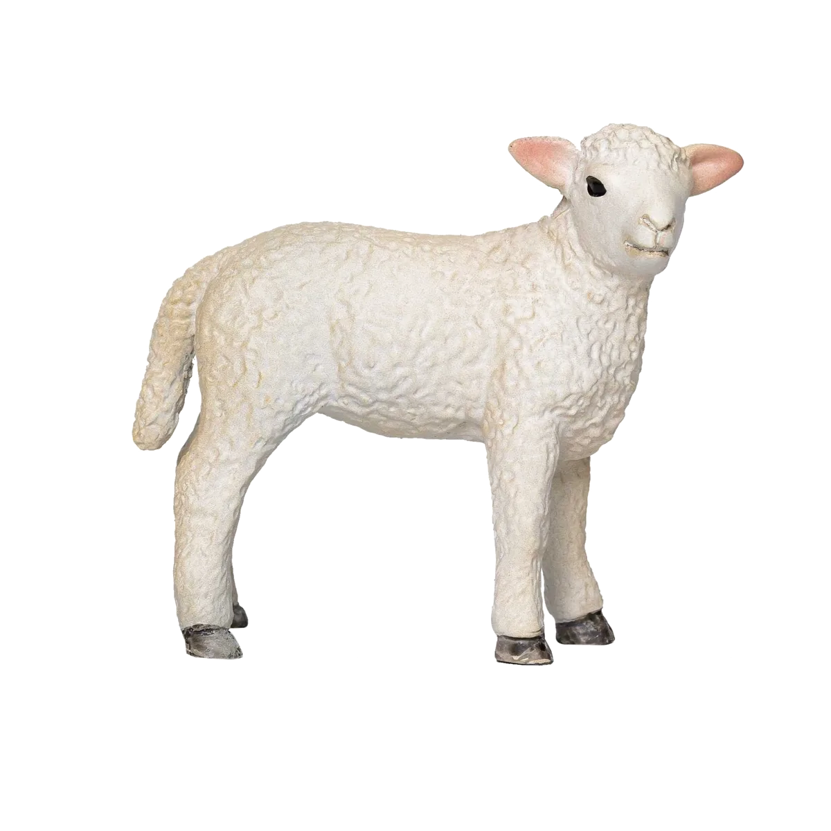 Mojo Romney Sheep lamb, standing - image 1