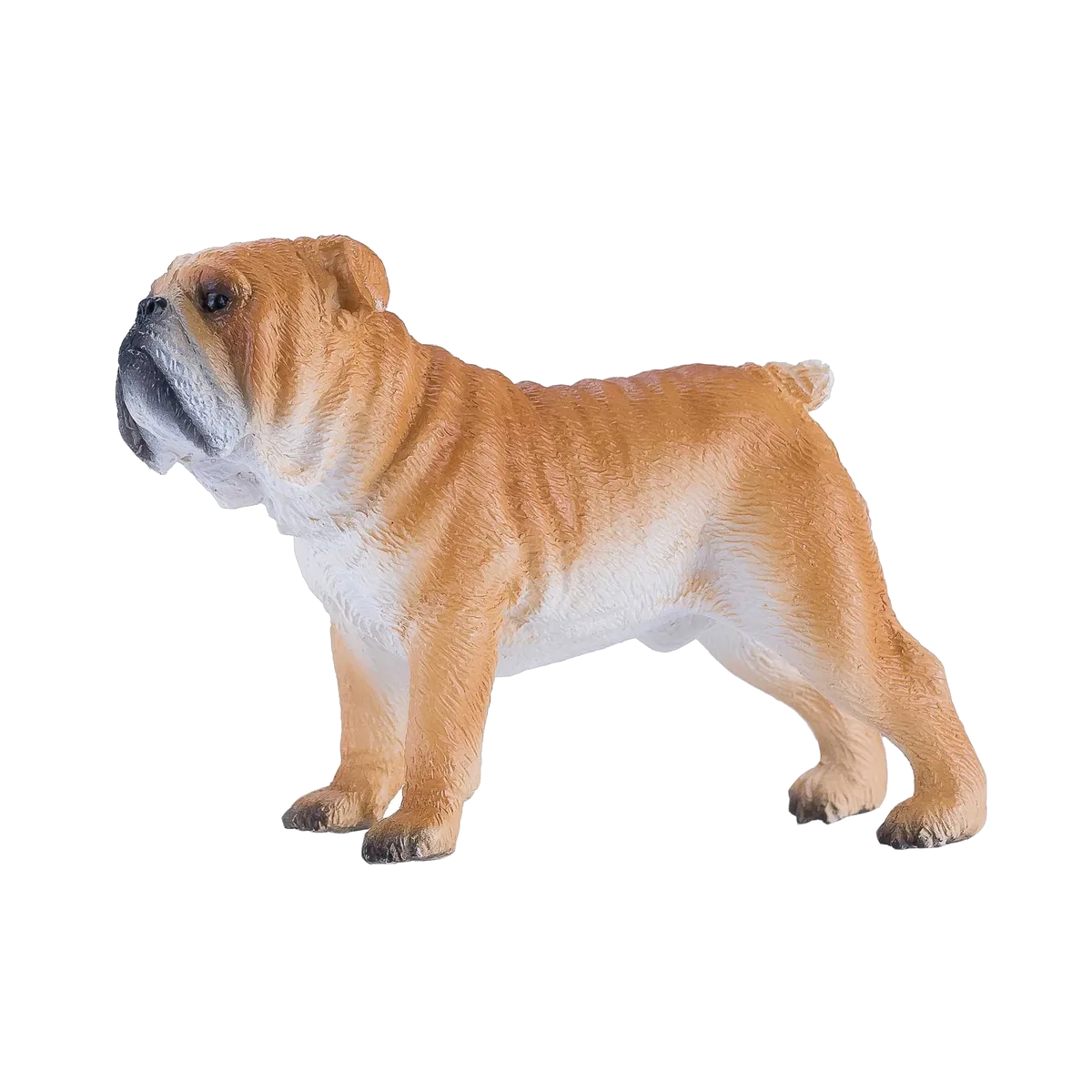 Mojo English Bulldog - image 1